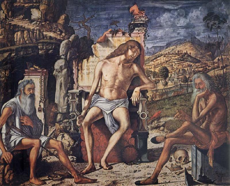 Vittore Carpaccio The Meditaion on the Passing Germany oil painting art